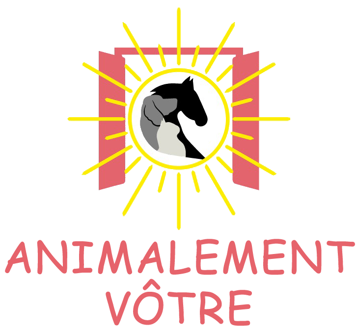 Animalement Votre par Marie Jeanson